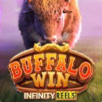 Amergg Buffalo Win