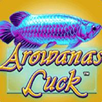 Amergg Arowana's Luck