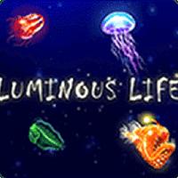 Amergg Luminous Life